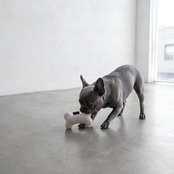 Monotone & Nuance Pet Toy ［beige］モノトーン＆ニュアンス ペットトイ［ベージュ６種］