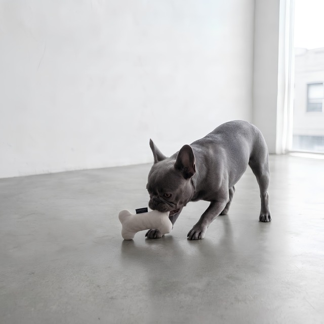 Monotone & Nuance Pet Toy ［beige］モノトーン＆ニュアンス ペットトイ［ベージュ６種］