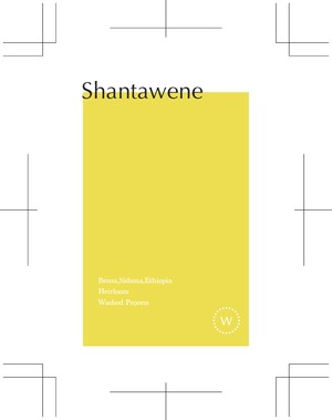 コーヒー豆 250g / Ethiopia Shantawene