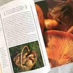 フランス古本　冬のワイン　Les Vins de l’Hiver フランスワイン　フランス料理