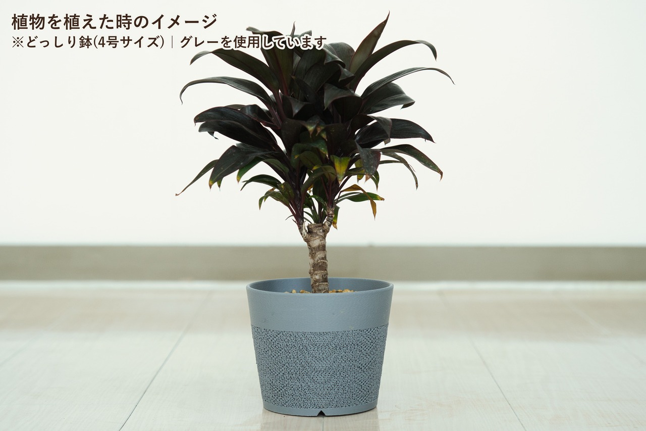 どっしり鉢(5号サイズ)｜ネイビー