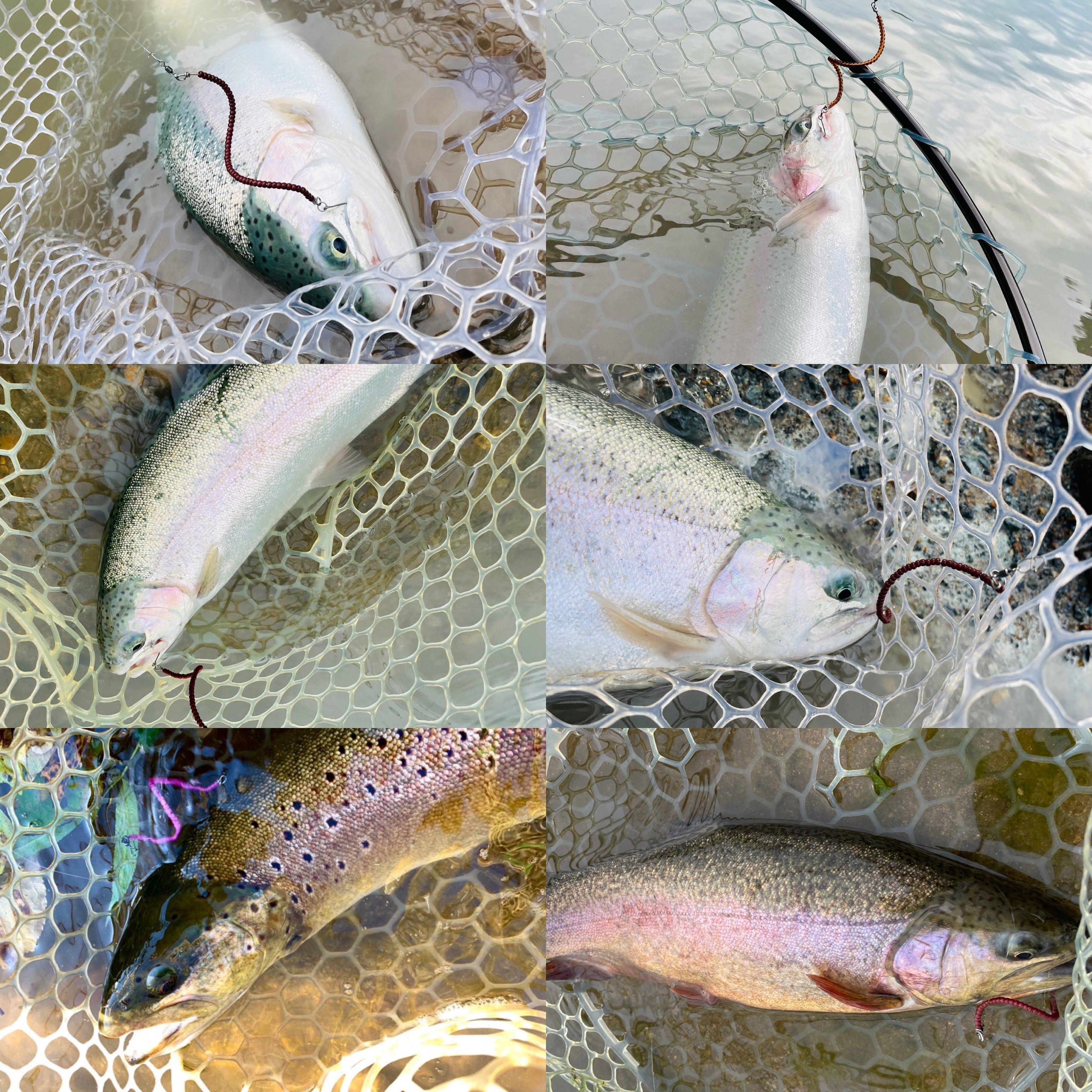 umimas craft