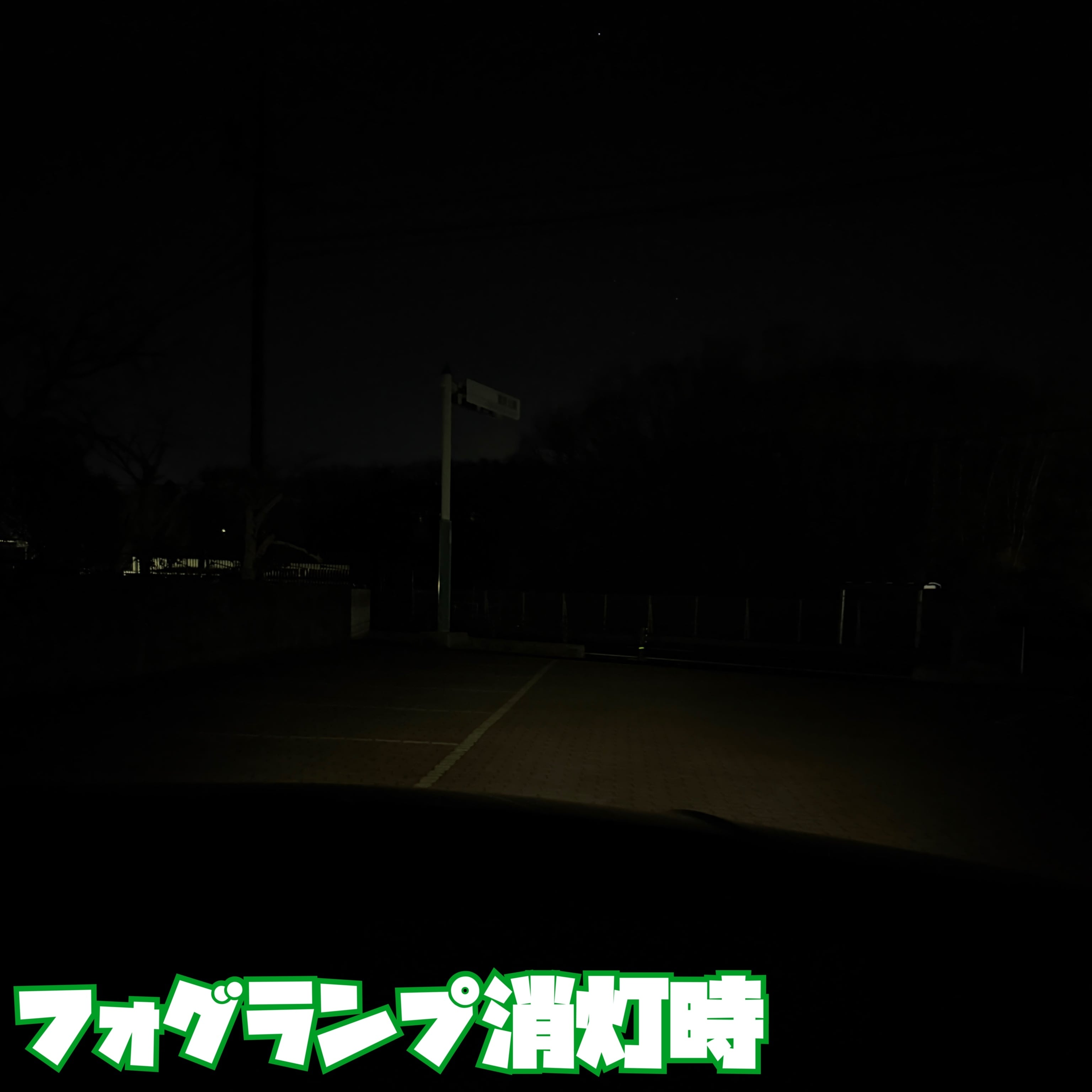 超爆光 ディープグリーンフォグランプ 実測16600lm越え H8/H11/H16 HB4