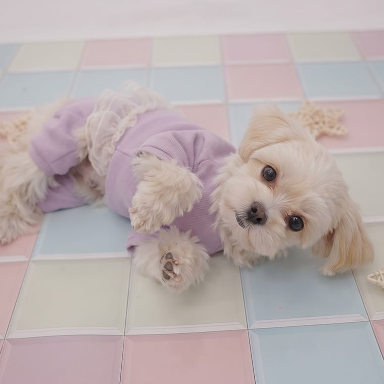 lurabo all in one S ~ XL 2color  /  犬服 オールインワン 秋 冬 春 ドッグウェア レース 重ね着 長袖 無地 シンプル 小型犬 中型犬 犬 服 ペット洋服 韓国犬服 ストレッチ素材
