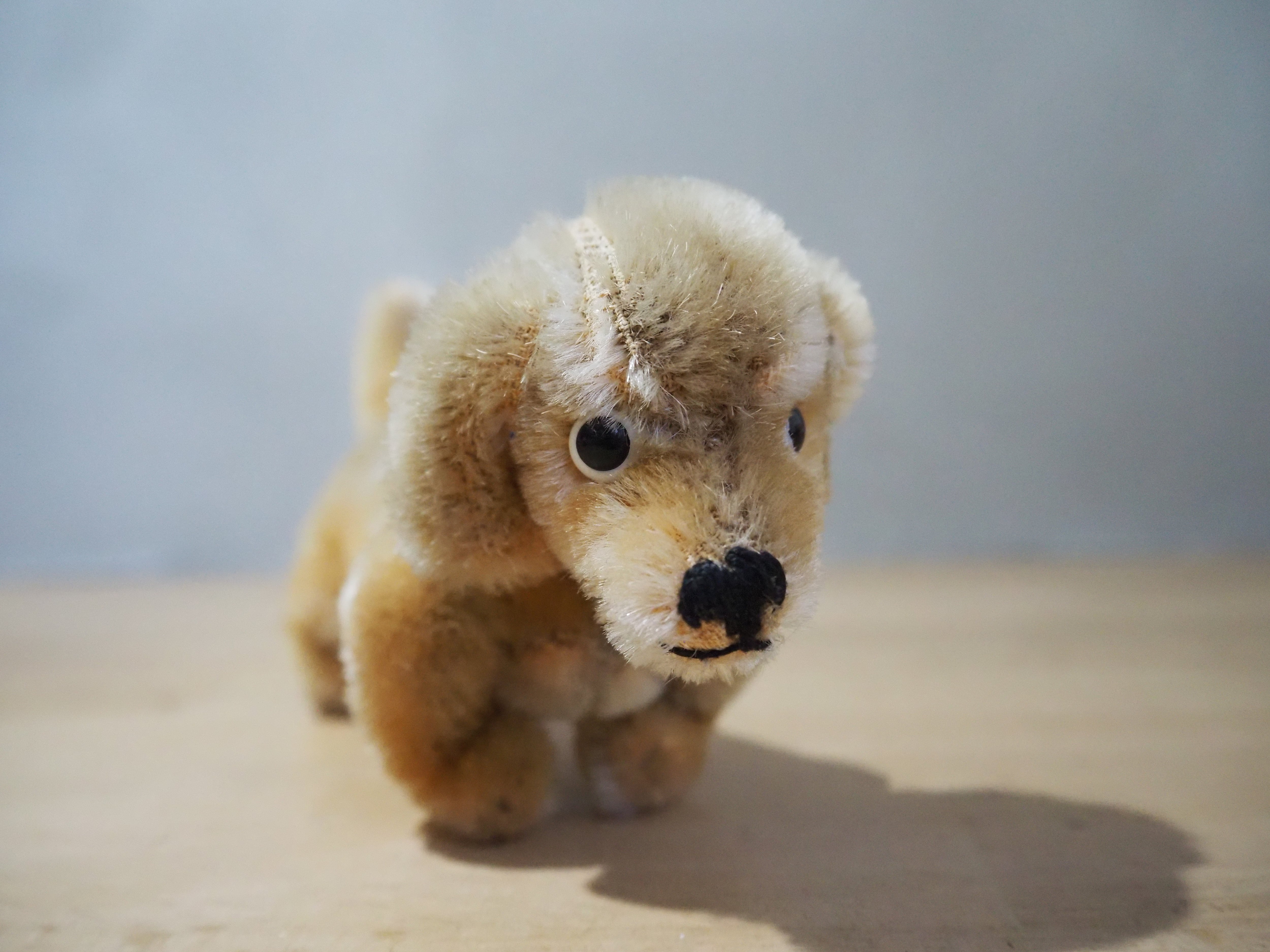 オールド シュタイフ ダックスフンド Steiff Hexie 9cm | ヒガシマチ