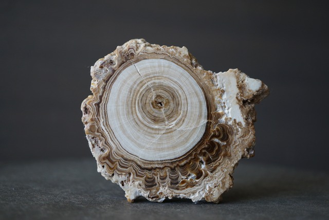 モロッコ産カルサイト/アラゴナイト Calcite / Aragonite 1859