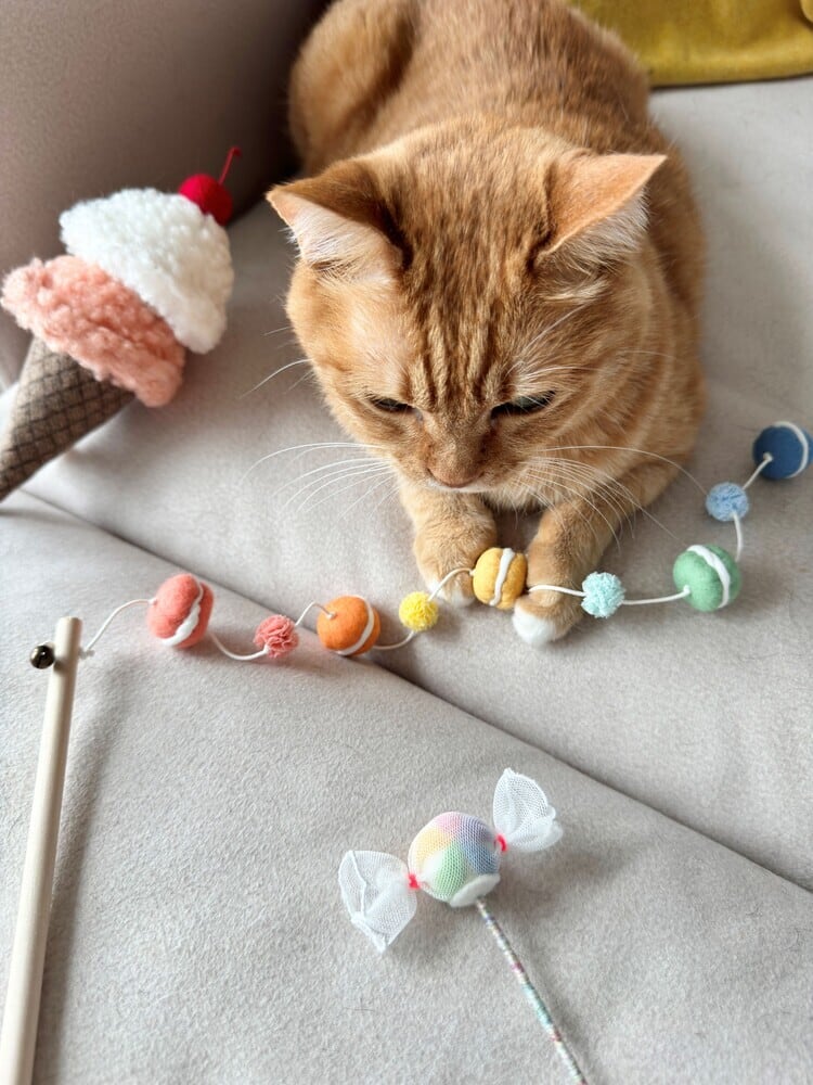 D Gray-man ディーグレイマン Dグレ グッズ ティムキャンピー