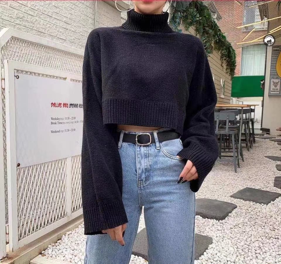 タートルネックショート丈ニットAJ1079−1902