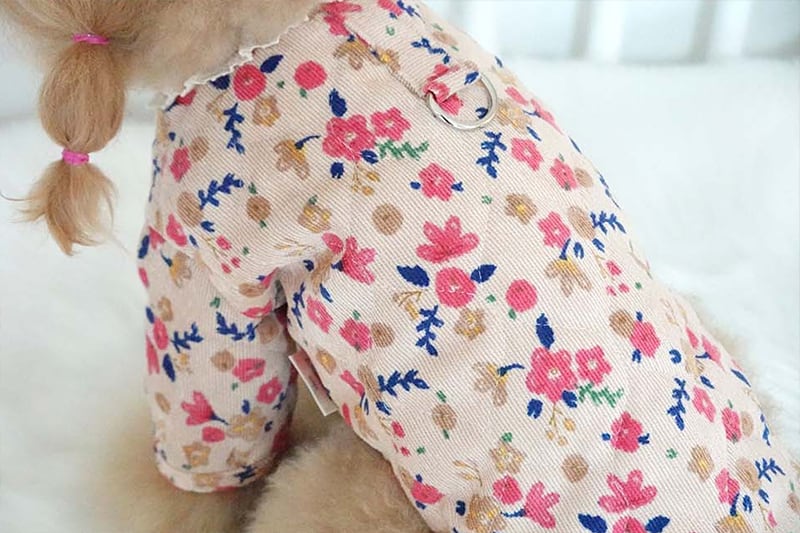 【SALE】 himawari harness jacket XS ~ 2XL 2color  /  犬服 秋冬 新作 ジャケット ハーネス＆リードセット 小型犬 中型犬 ドッグウェア ペット用品 胴輪 アウター　b10