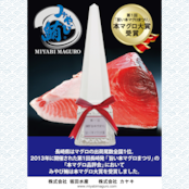 【みやび鮪】本鮪 中トロ 600g(大きさ不揃い柵 約3本 計600g)