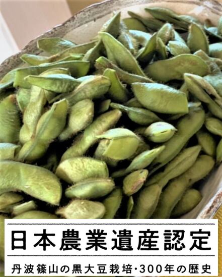 丹波篠山産 黒枝豆（さや）1Kg 送料別（11月2日～11月5日の間に