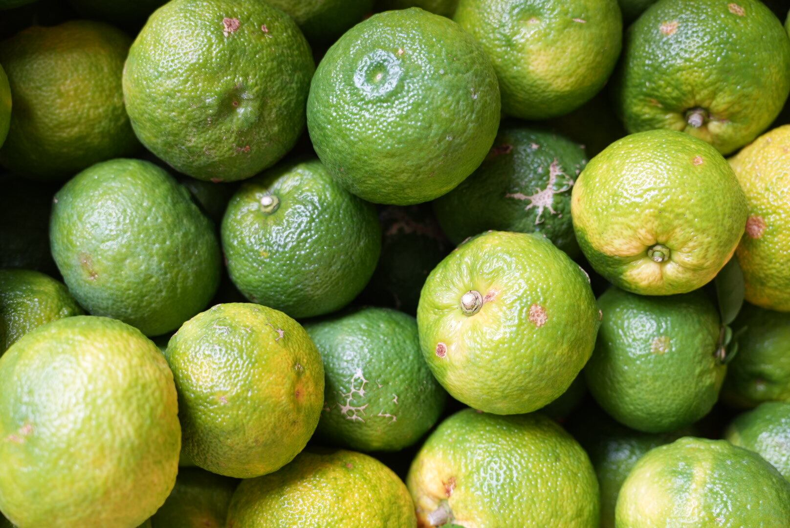 島ゆず（可品） 1kg〜 | わらしべ。