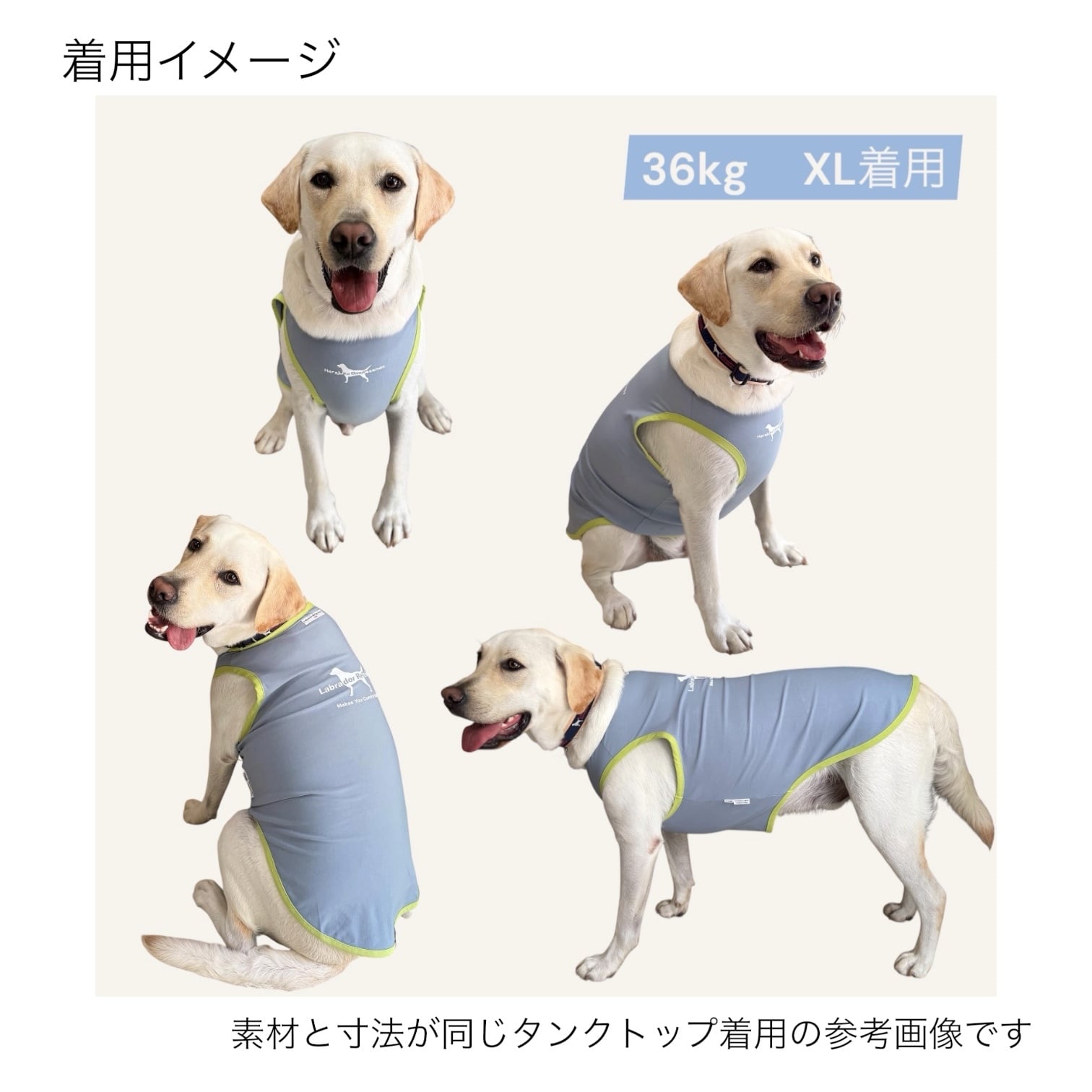 DOG】Smile Happy タンクトップ〈TIGHT FIT〉（大型犬用） | PAY ID
