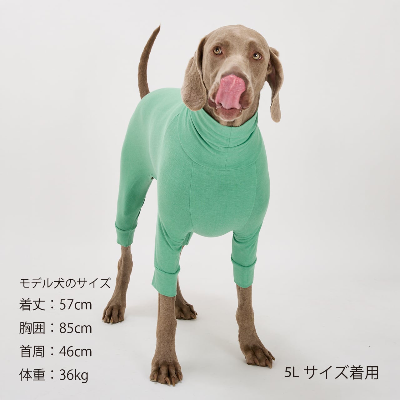 SKIN TIGHT SUIT（3L.4L.5L）スキンタイトスーツ | MANDARINE BROTHERS