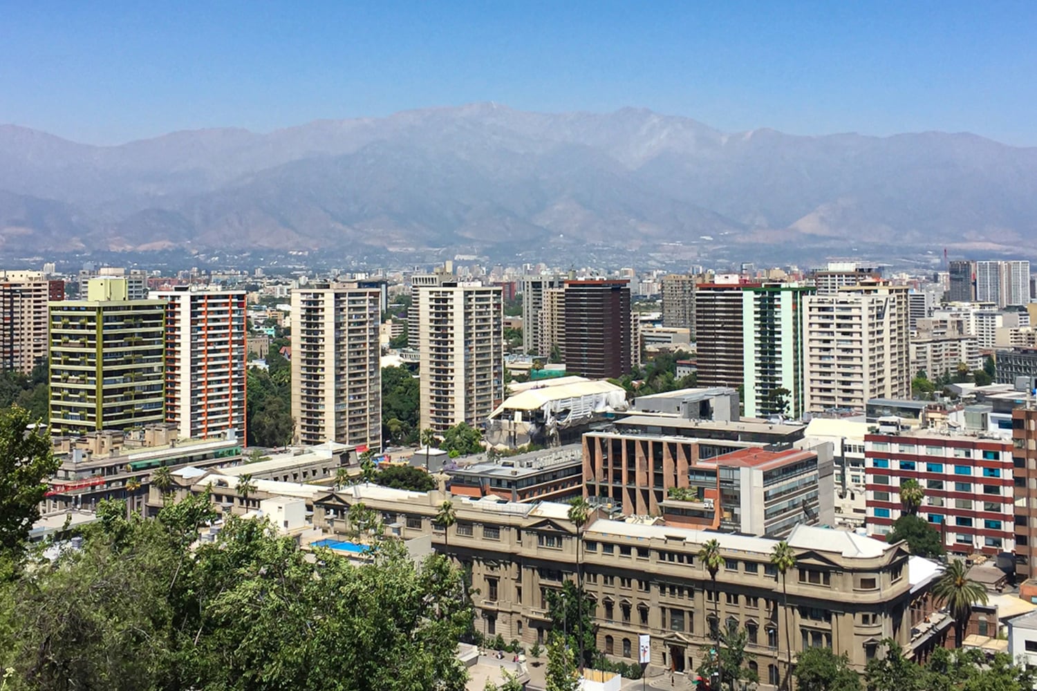 ドン・アマド／DON AMADO（N05）