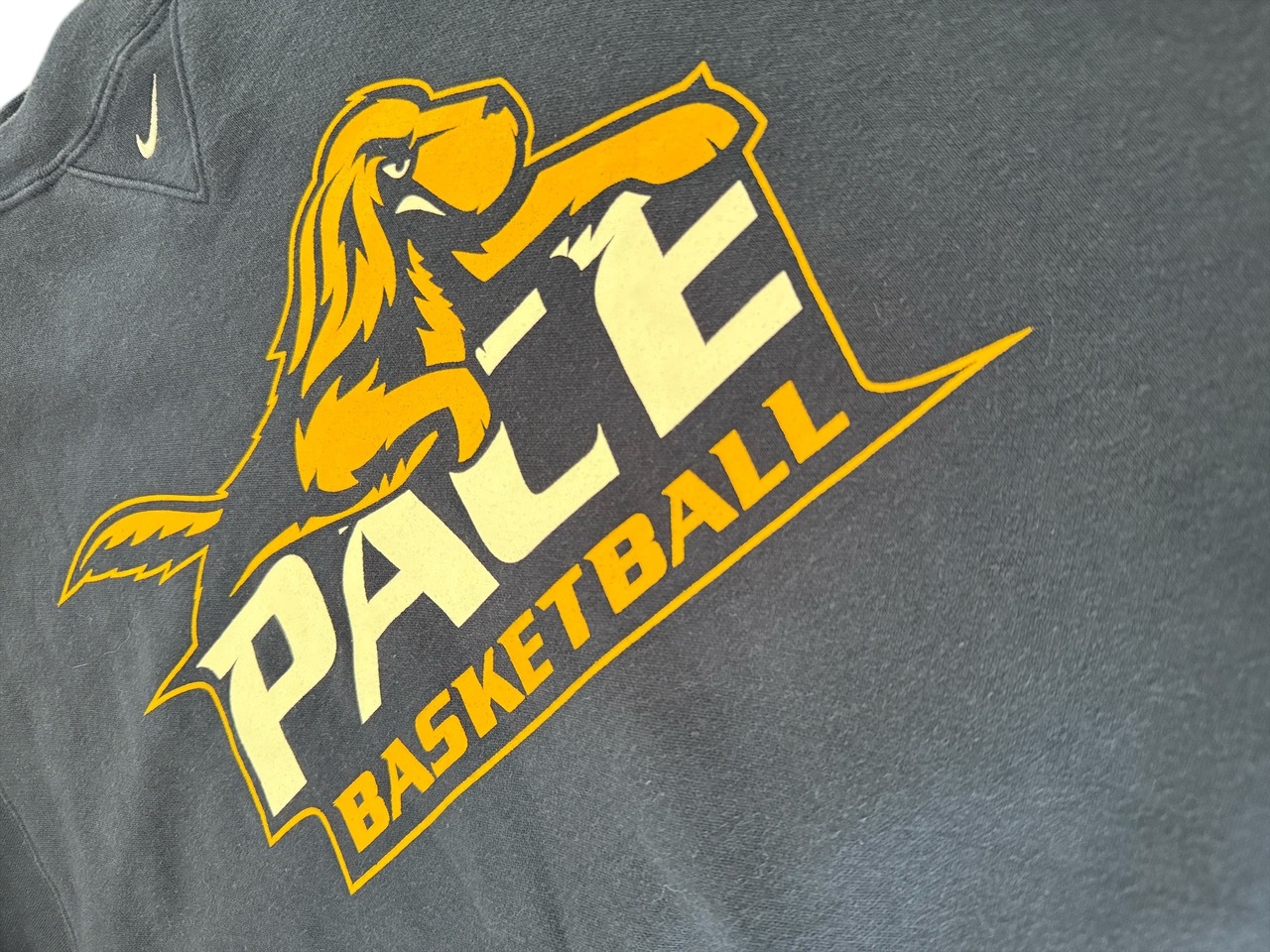 00's NIKE PACE BASKETBALL プリント