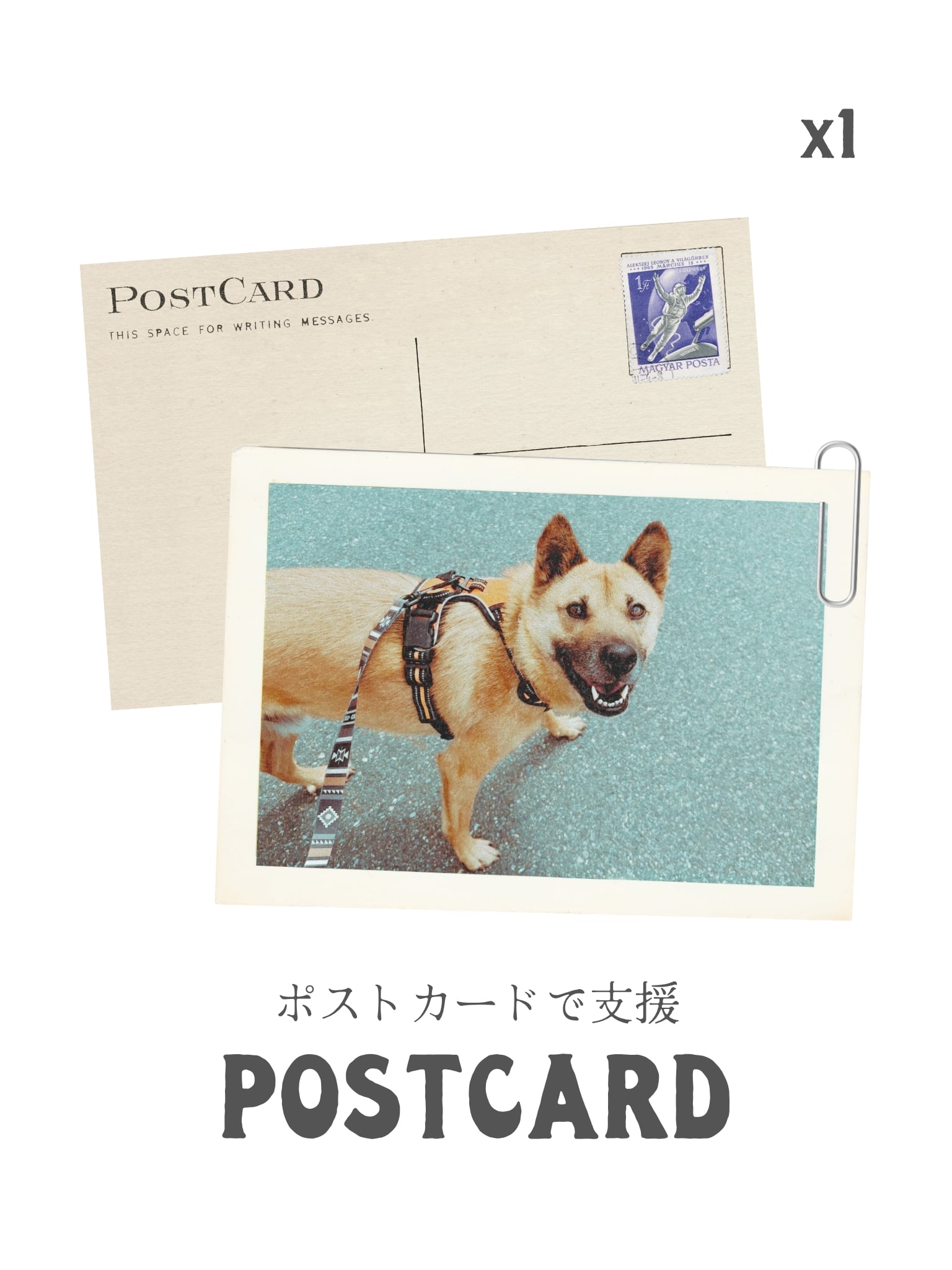 寄付つきポストカード