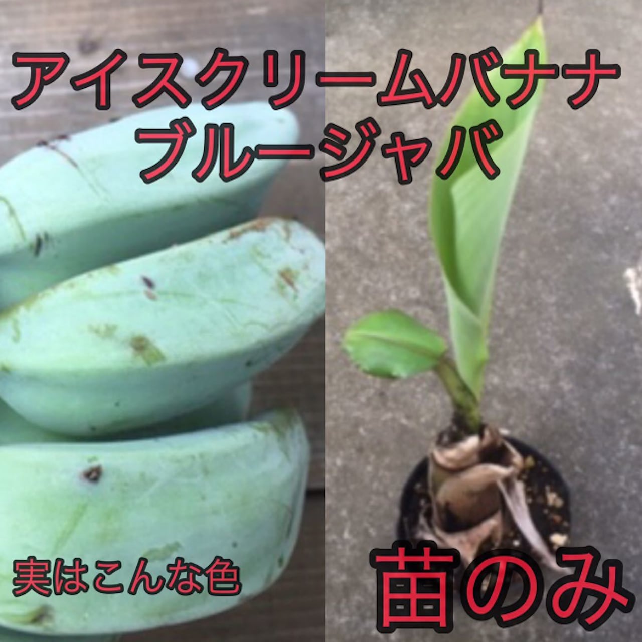 f01c42c0cda4eb9d7470a739e46f88