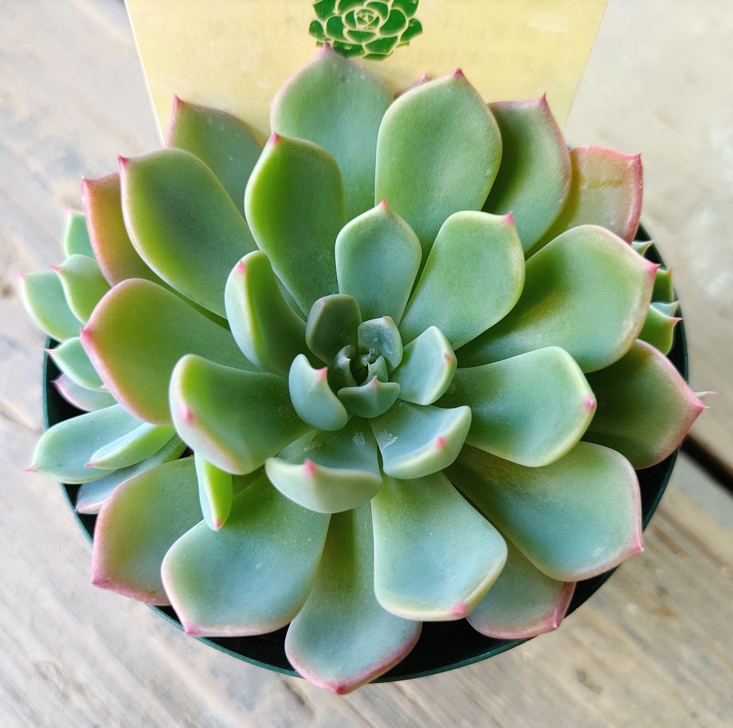 f01e0ad5460c752eff3e0b7369785d