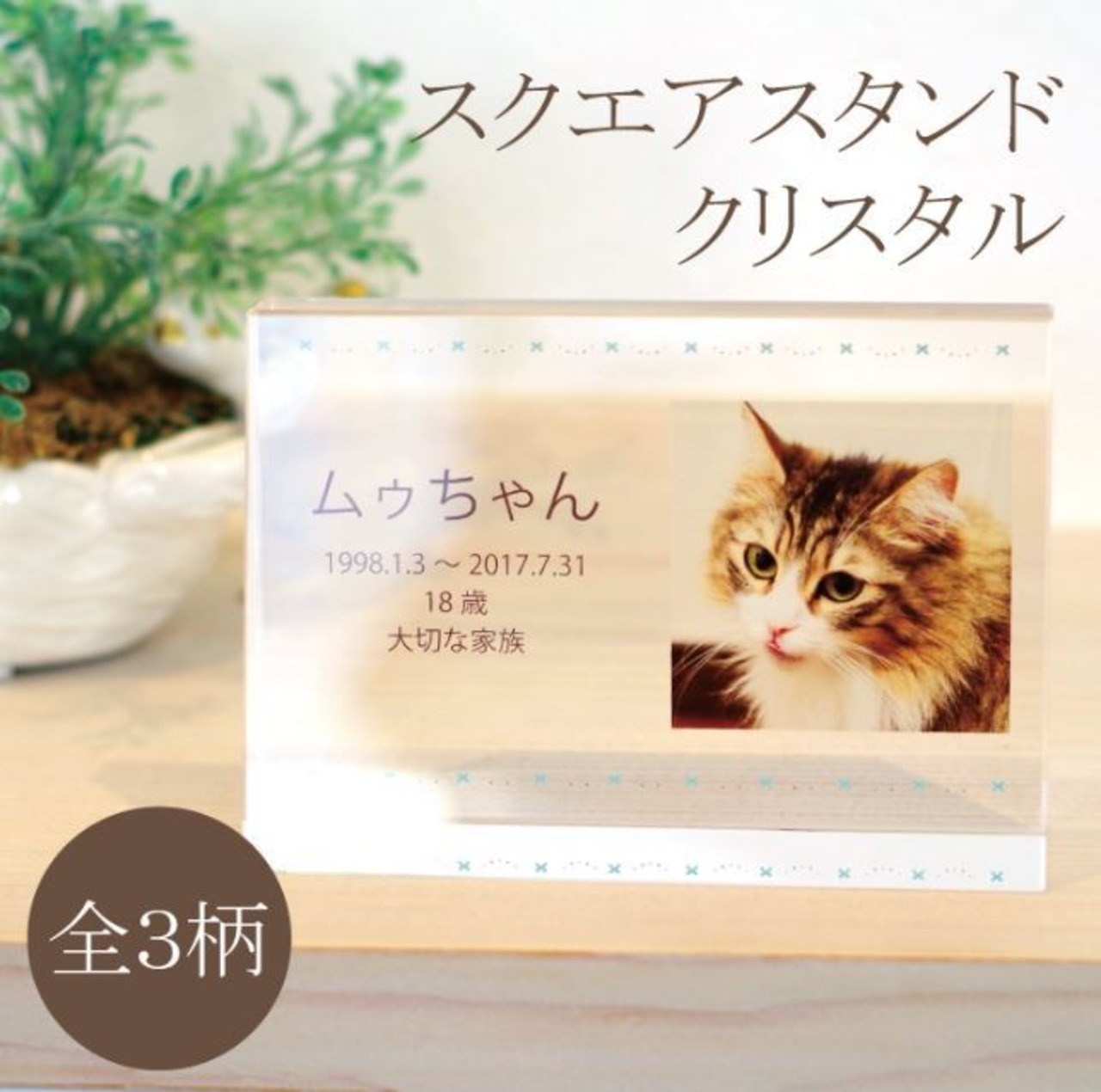 スクエアスタンドクリスタル