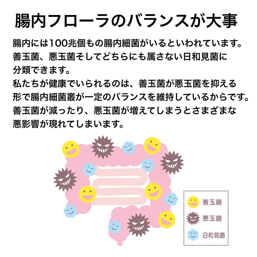 定期購入 リタヘルス5000(約1カ月分)  乳酸菌 酪酸菌 ビフィズス菌 毎月1袋