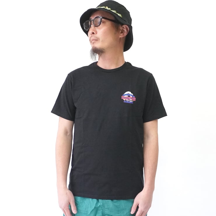 パタゴニア tシャツ 波 patagonia パタゴニア メンズ グレート