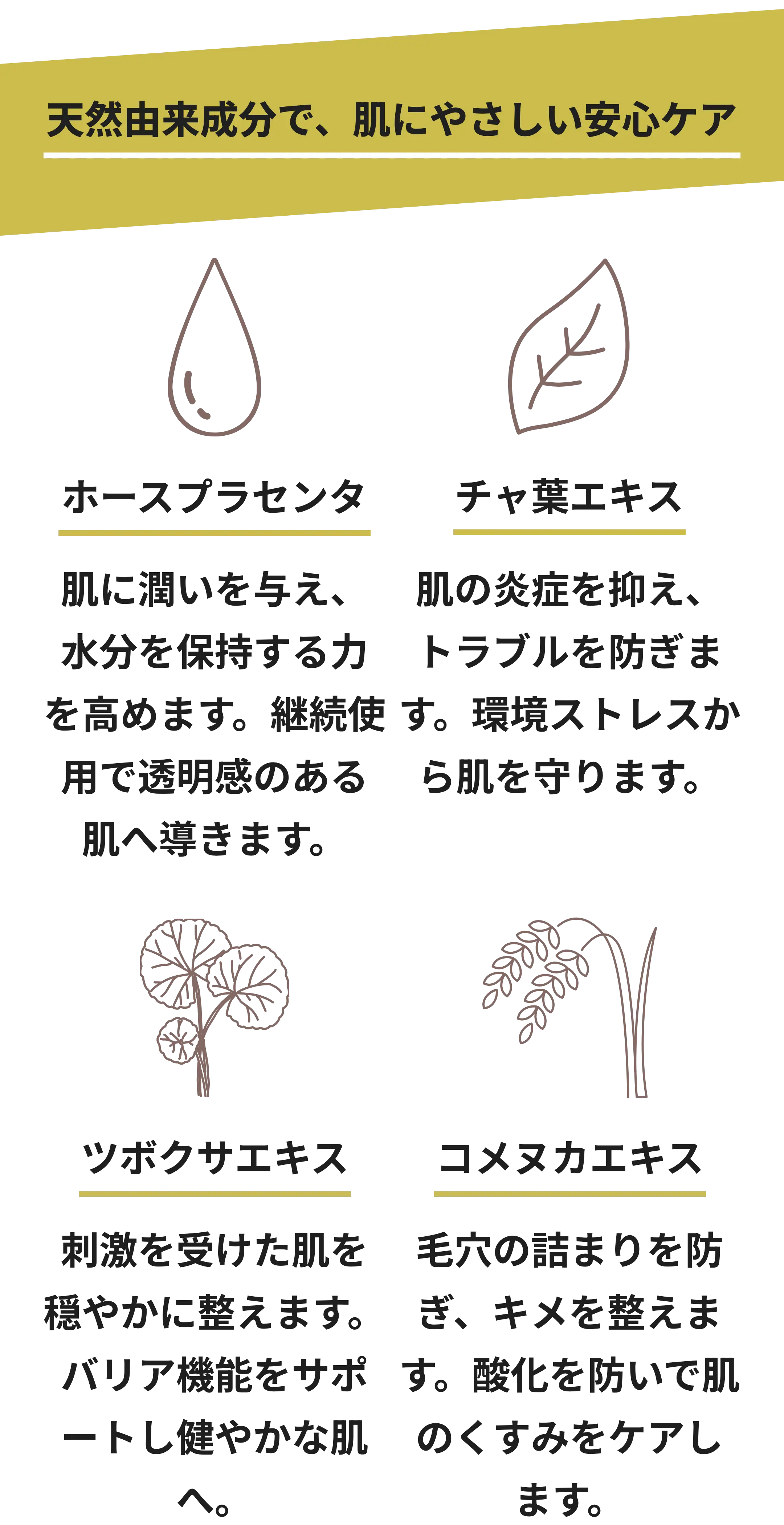 BIO フェイスウォッシュ | BIO SKIN LAB.