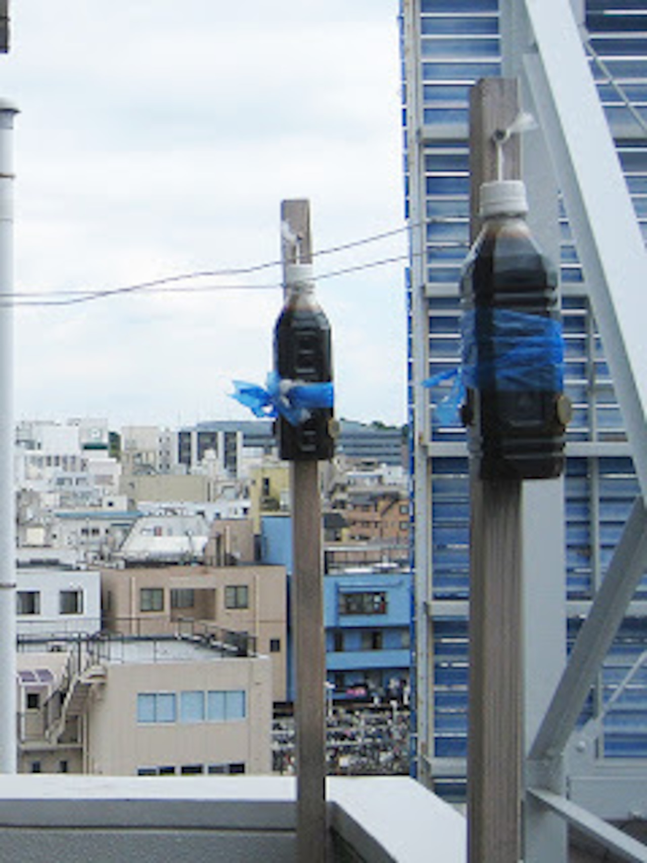 いのしし　ネズミ　鳥避け　リング8本