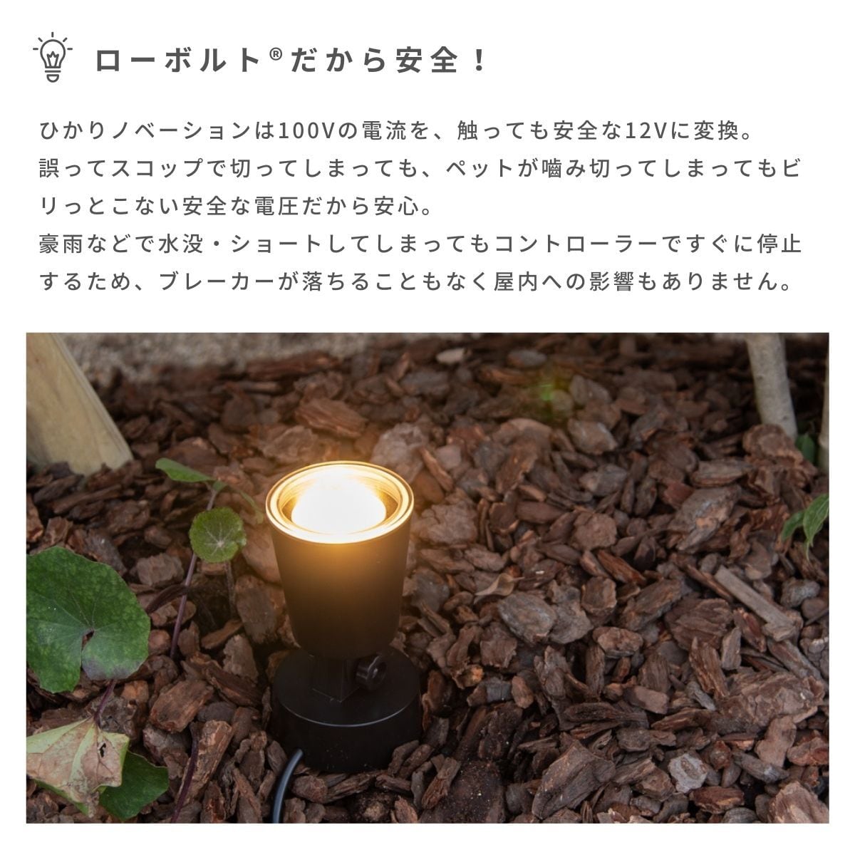 タカショー ひかりノベーション 「木のひかり 基本セット