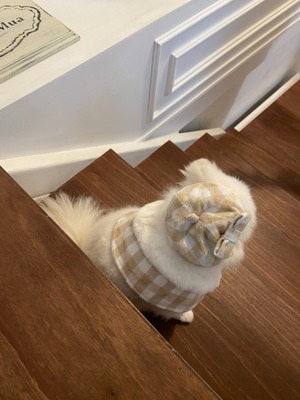 即納【Hi Yeboo】Classic Check Cape Acc  (ベレー帽)