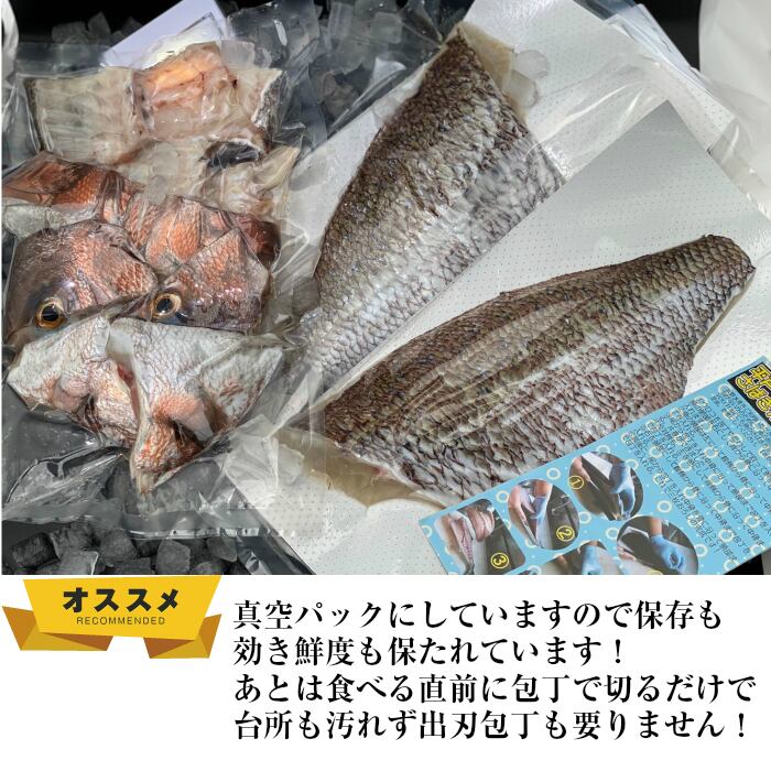 観賞魚用 二重平袋 ５４５×９５０mm 厚さ０．０５５mm ５０枚 輸送袋 平戸なつ香タイ（約2㎏）×2枚 三枚おろし真空パック【送料無料