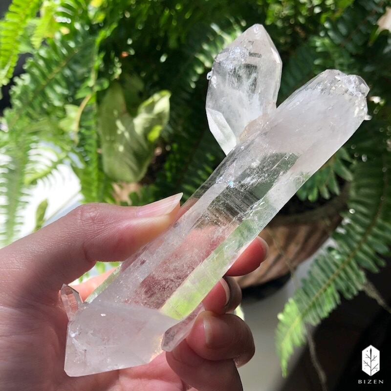 マニハール水晶 サボテンさん♪ | BIZEN Crystals