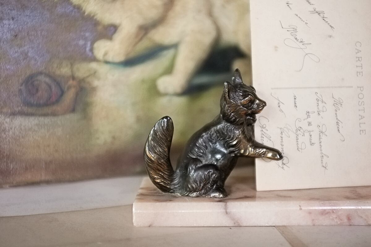美術品・アンティーク・コレクション フランス パリ植物園 動物と植物