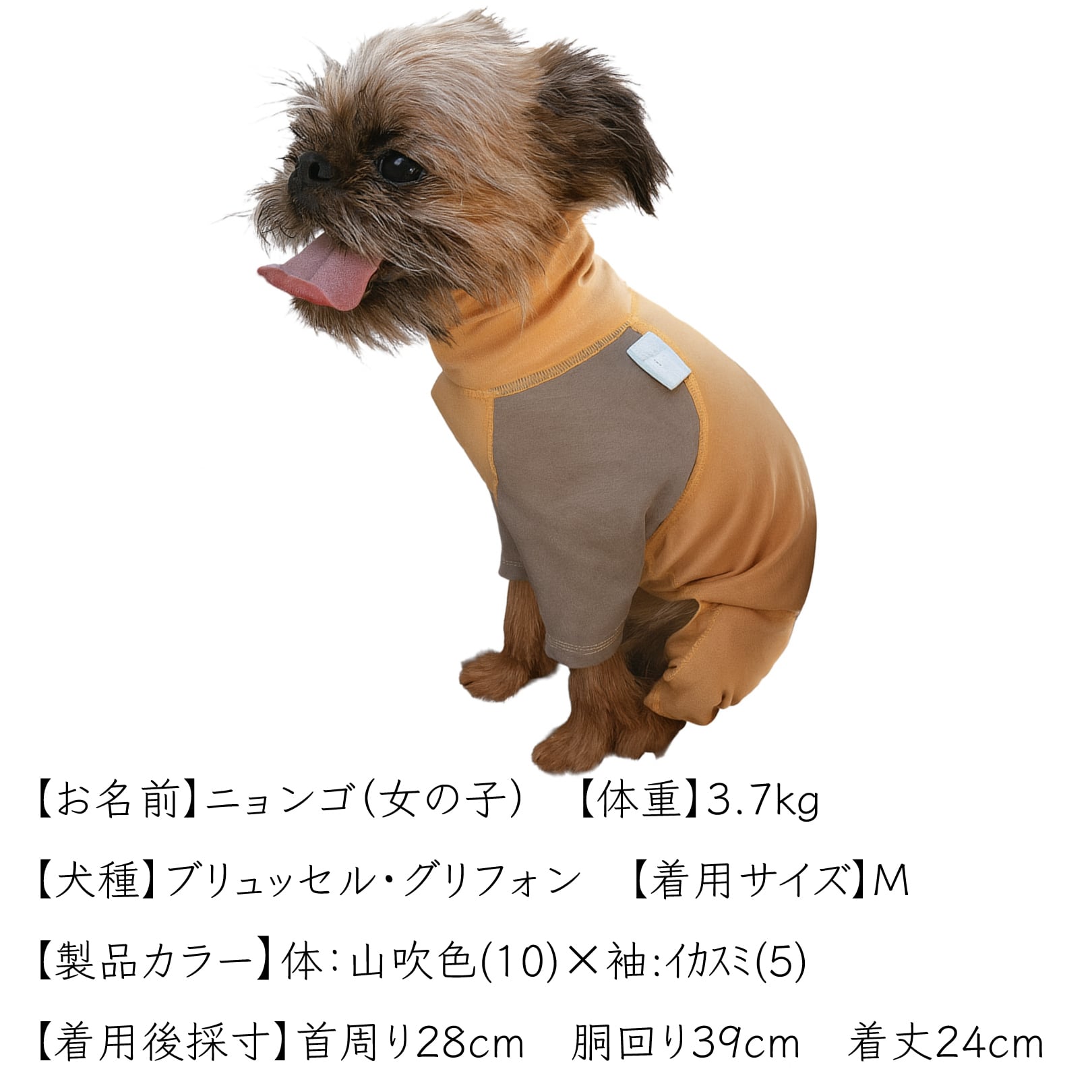 スキンフィット|ブリュッセルグリフォン用|1size|オーガニックコットン&抗菌消臭効果生地