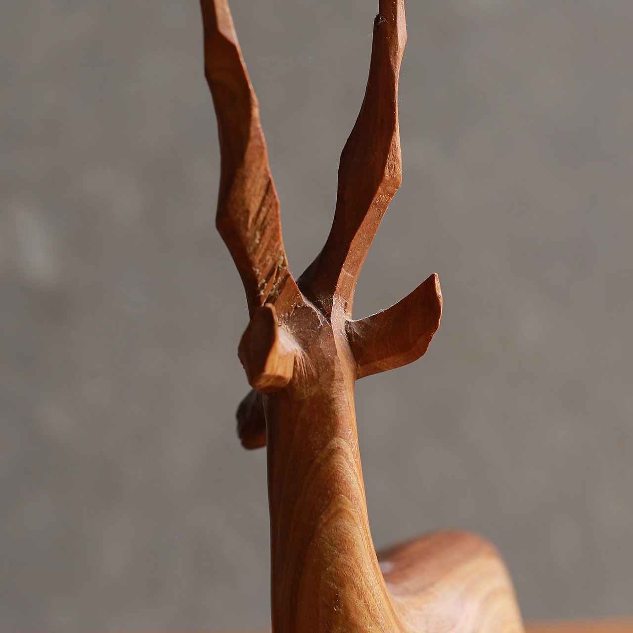 座って休憩中の、トムソンガゼル 2