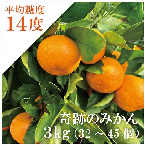 2026奇跡の糖度！有田みかん 【3kg】