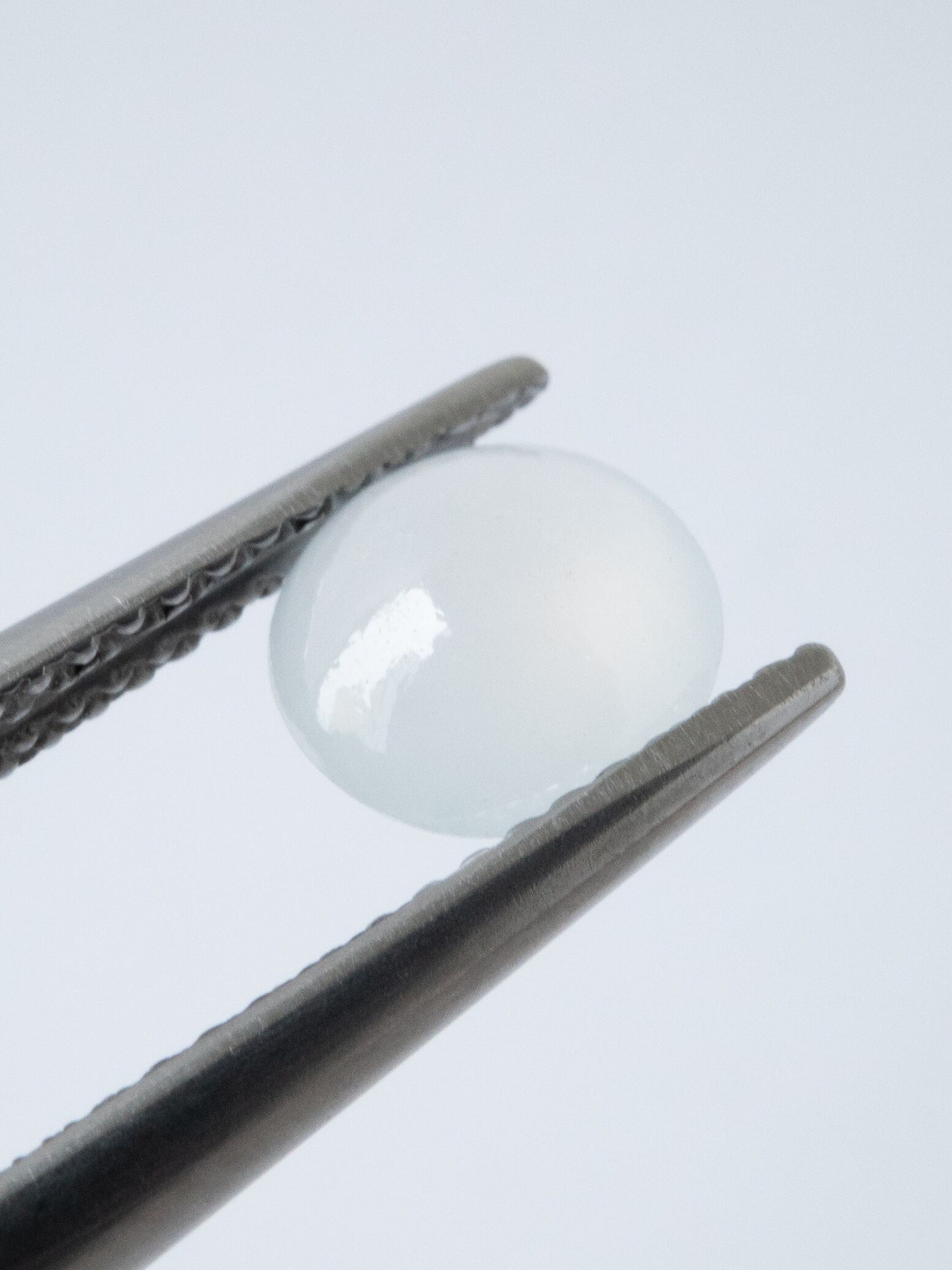 氷翡翠 - a02 | SELSHA