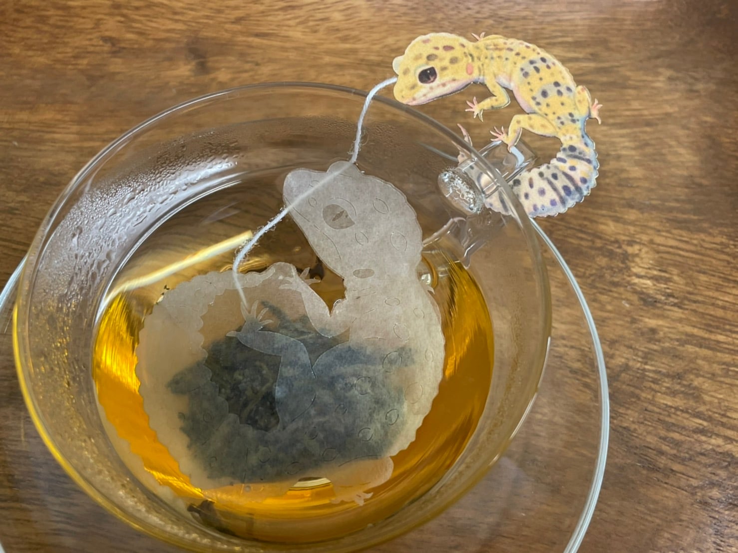 ヒョウモントカゲモドキのティーバッグ ジャスミン茶 4ｐ入り オーシャンティーバッグ Ocean Teabag