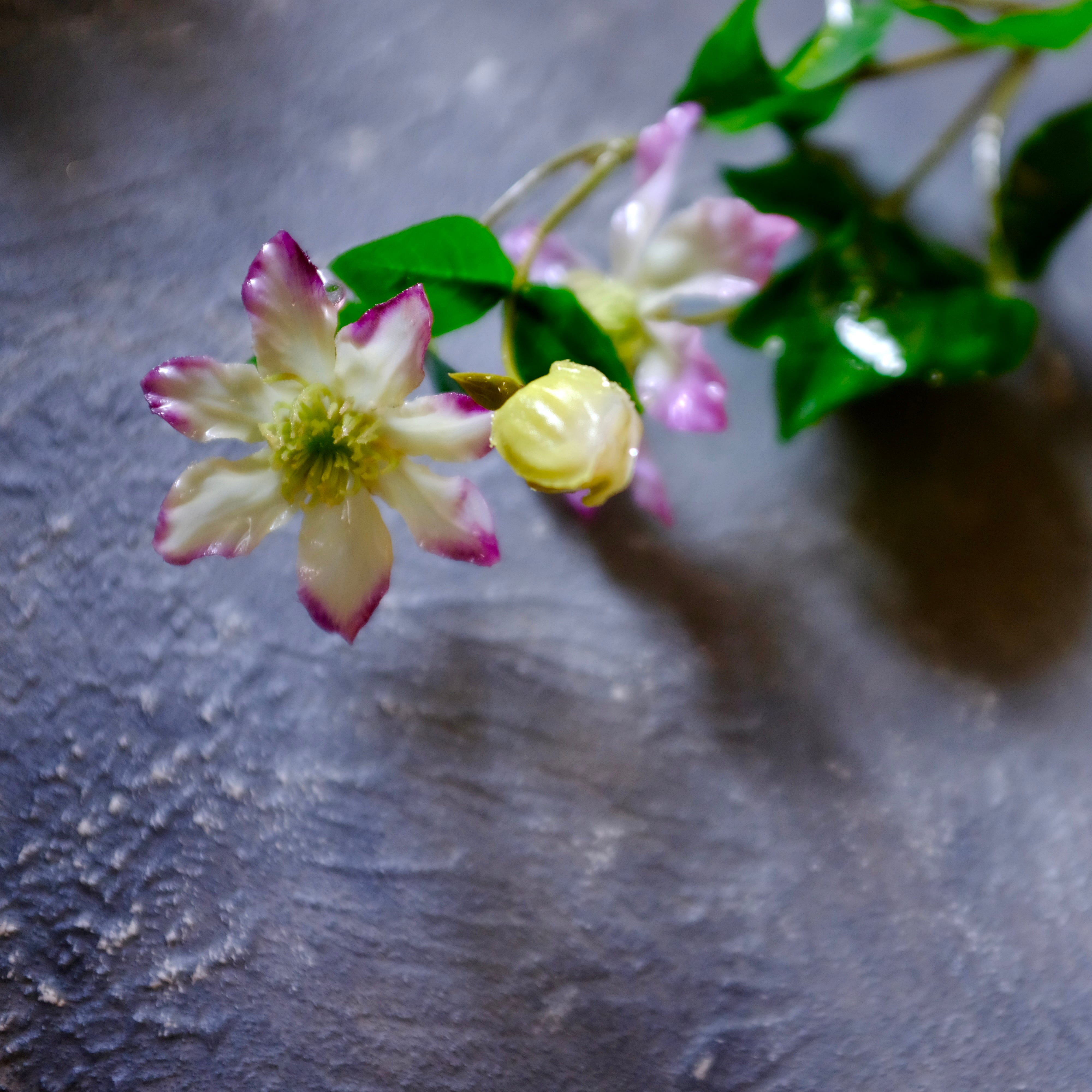 tsuyabana クレマチス ピンク | KieKa