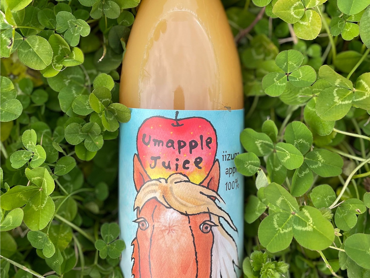 UMAPPLEジュース 1L瓶  1本＋250ml瓶  2本