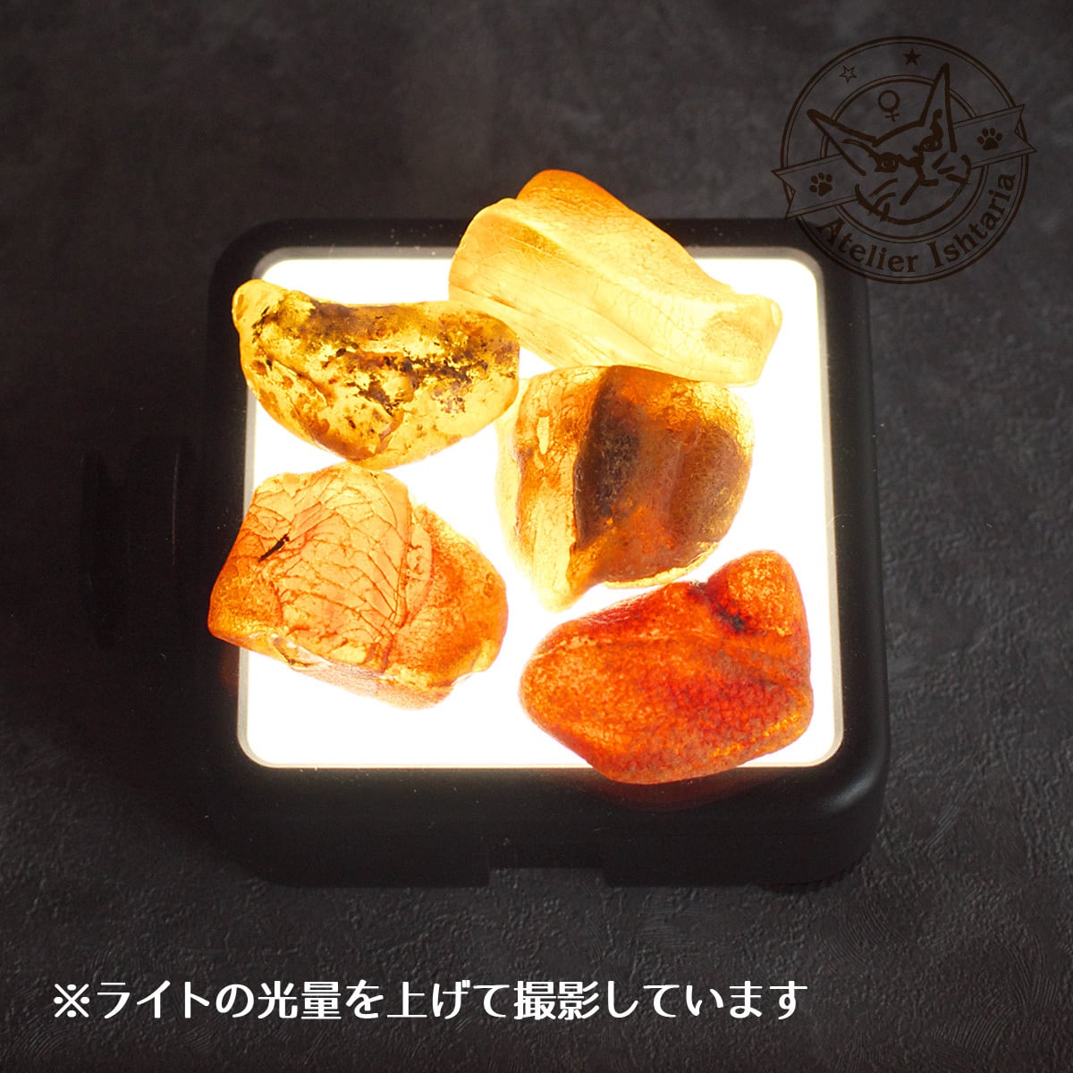 ランダム発送】バルティックアンバー原石 A【ポーランド産】／琥珀