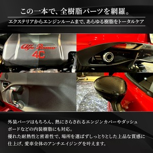 TRIM REVIVER & GLOSS VEIL セット