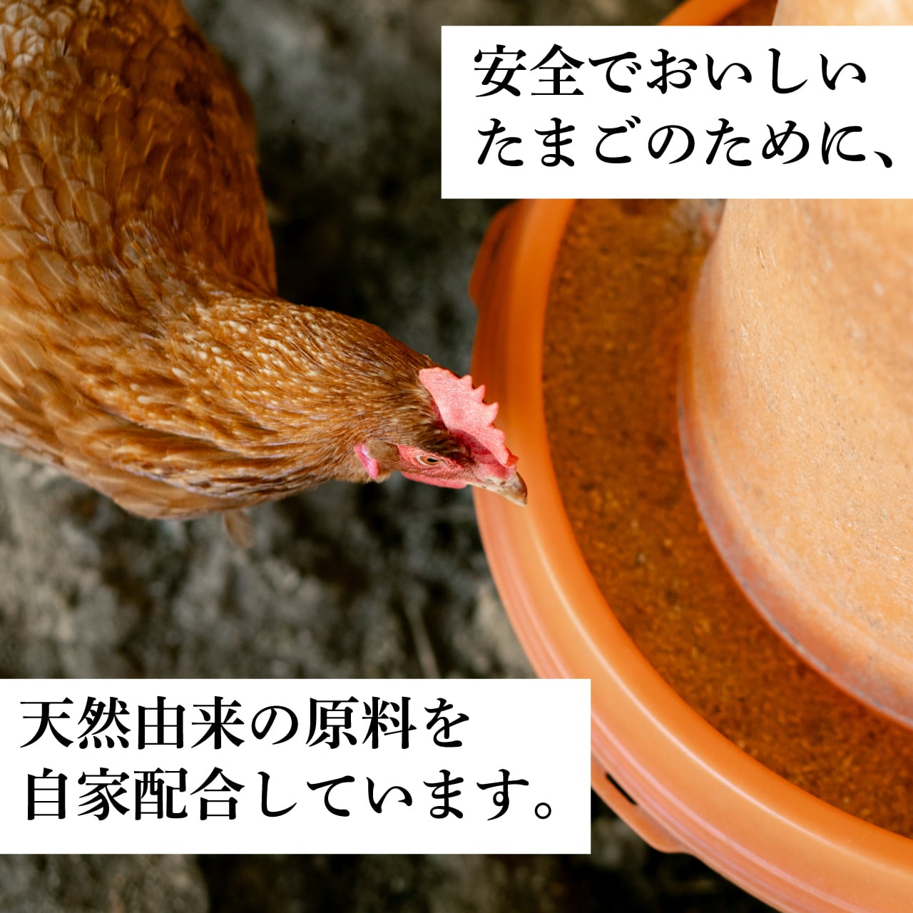 七山たまご 40個入贈答箱 | ななやま農園-七山たまご-