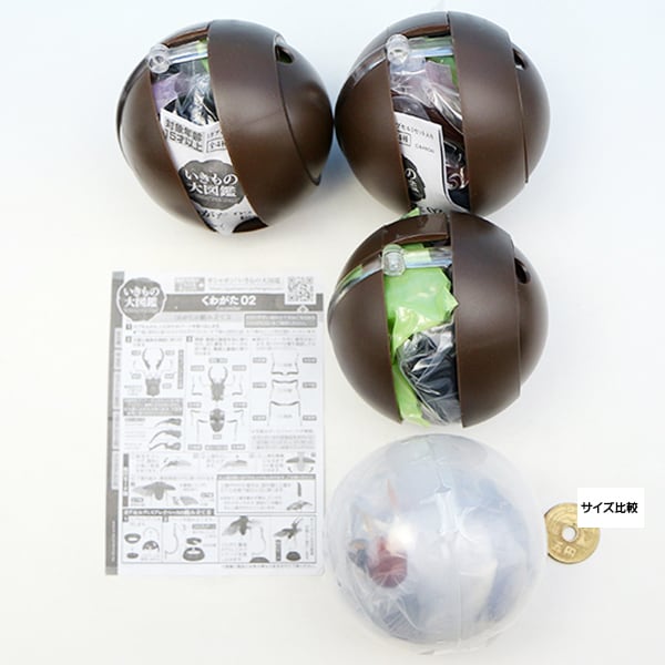 くわがた02 KUWAGATA いきもの大図鑑 フィギュア クワガタ 昆虫 くわがた02 KUWAGATA いきもの大図鑑 フィギュア クワガタ 昆虫