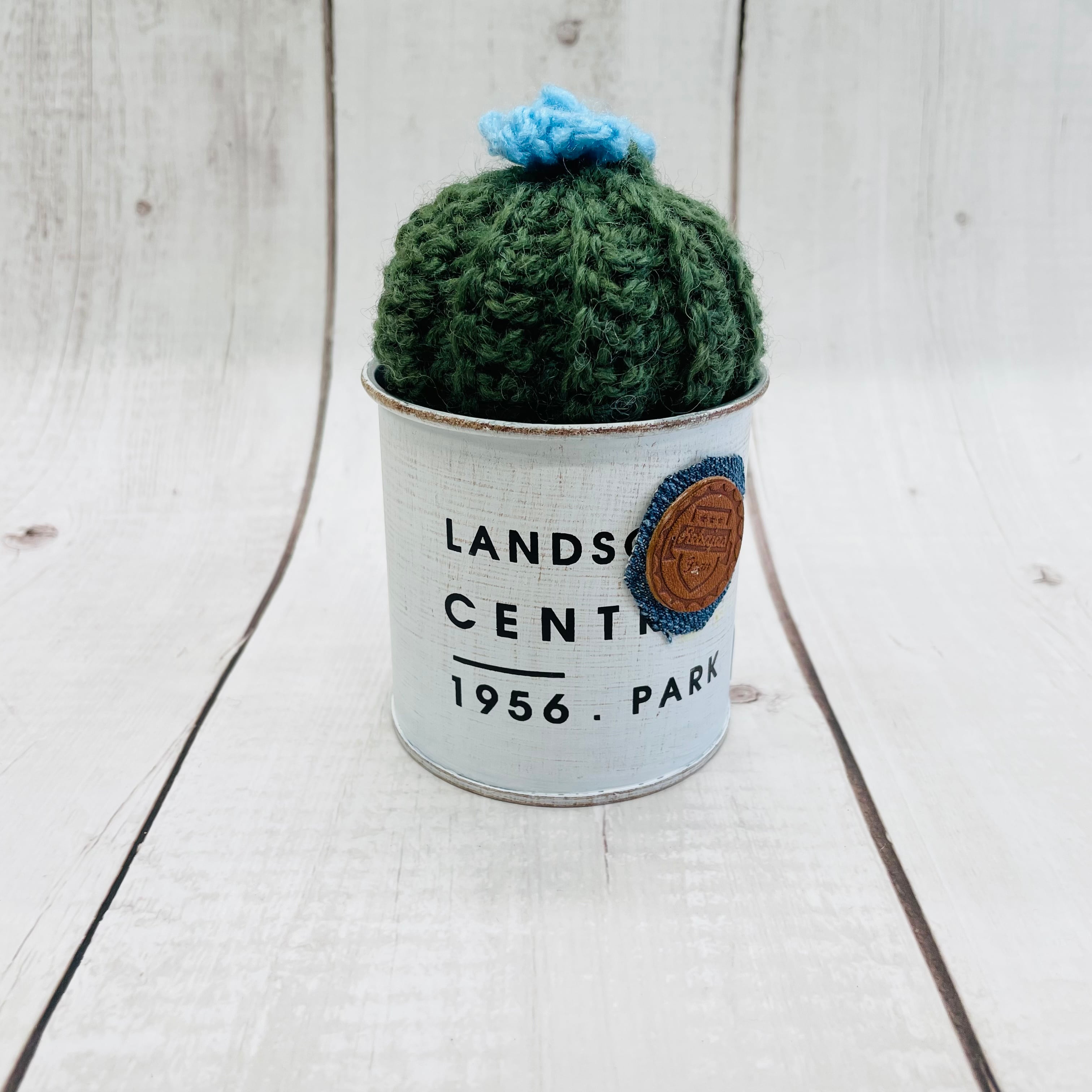 あみぐるみサボテン | miccuのおうちDX