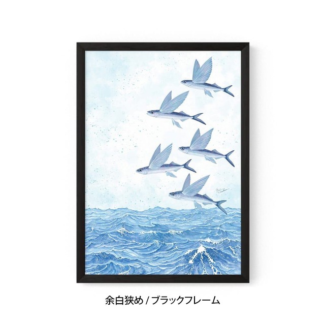 A3｜魚翔海図（ぎょしょうかいず）（フレームあり）