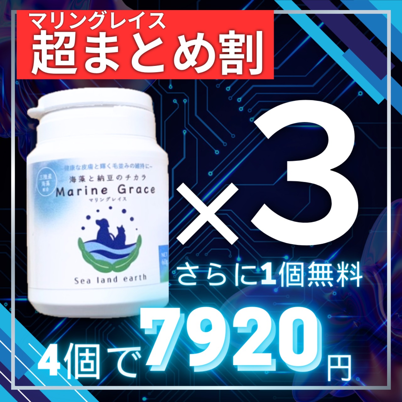 マリングレイス超まとめ割り【海藻＆納豆サプリ】