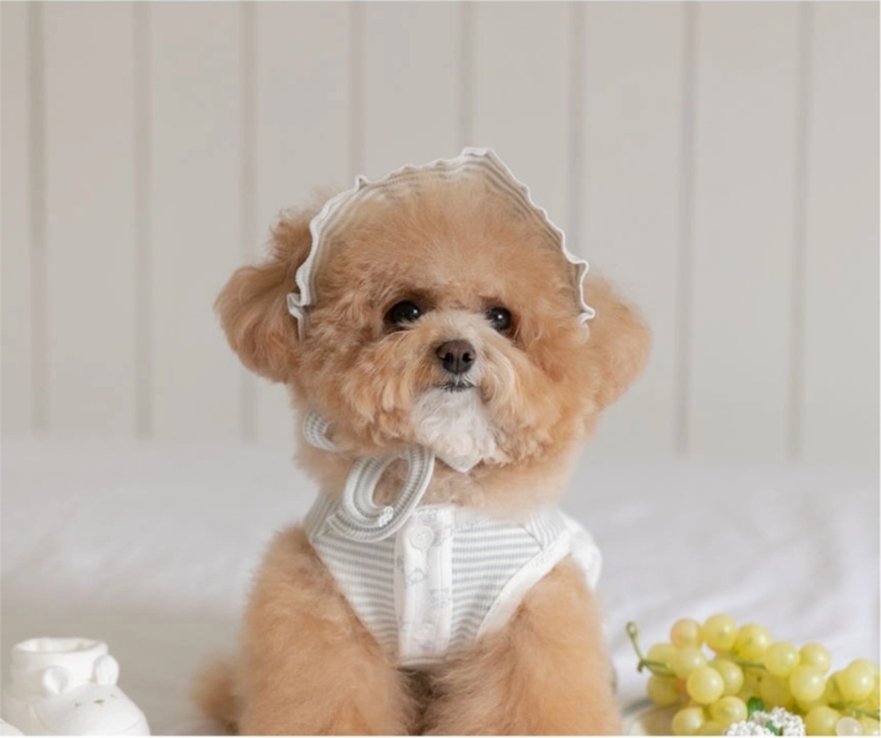 予約【Todley】Petite Bear Bonet（Pink/White）