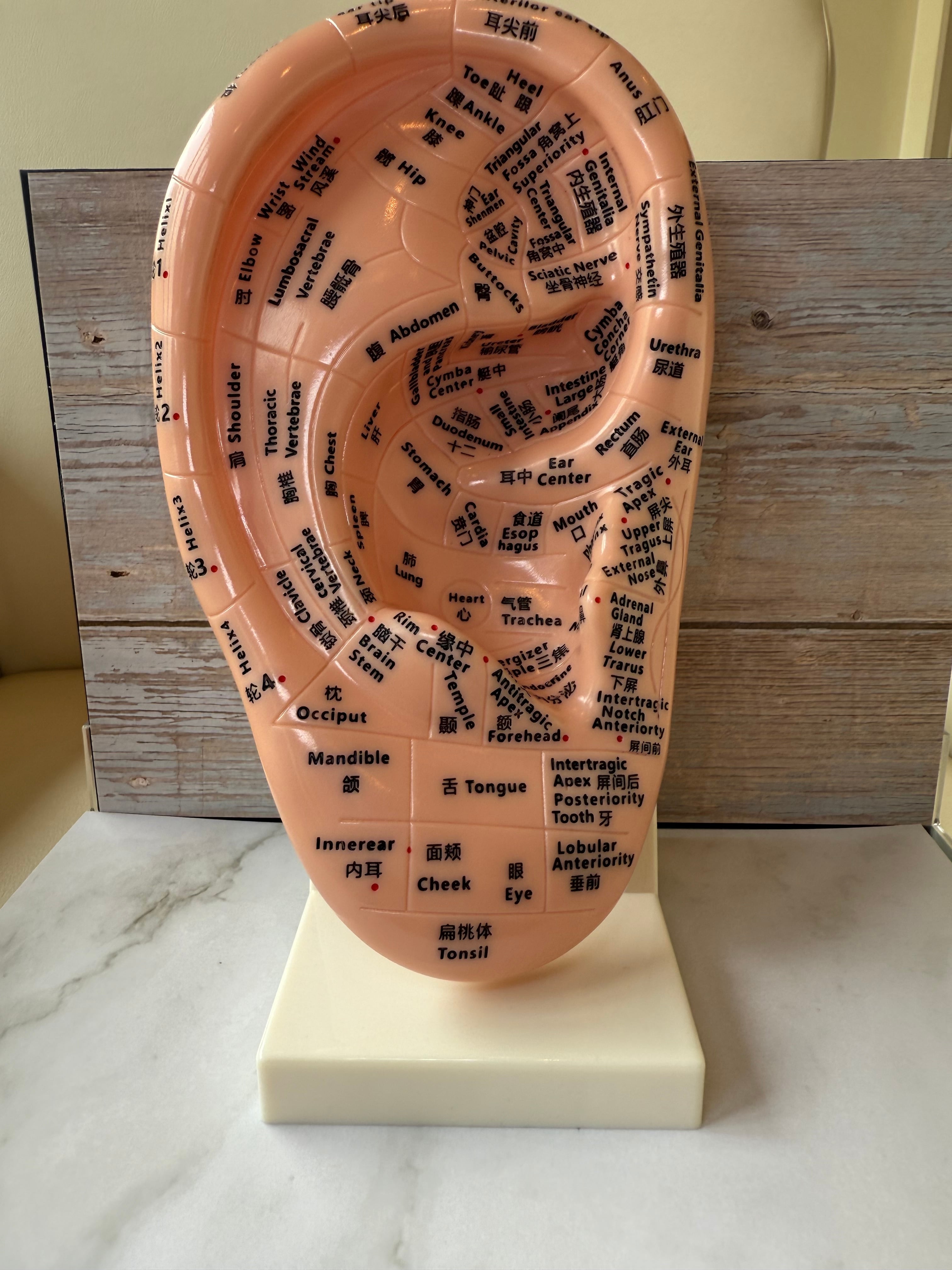 タングドラム/ソルフェジオ周波数 唯一無二】ソルフェジオ周波数を奏でる奇跡の楽器✨ タングドラム