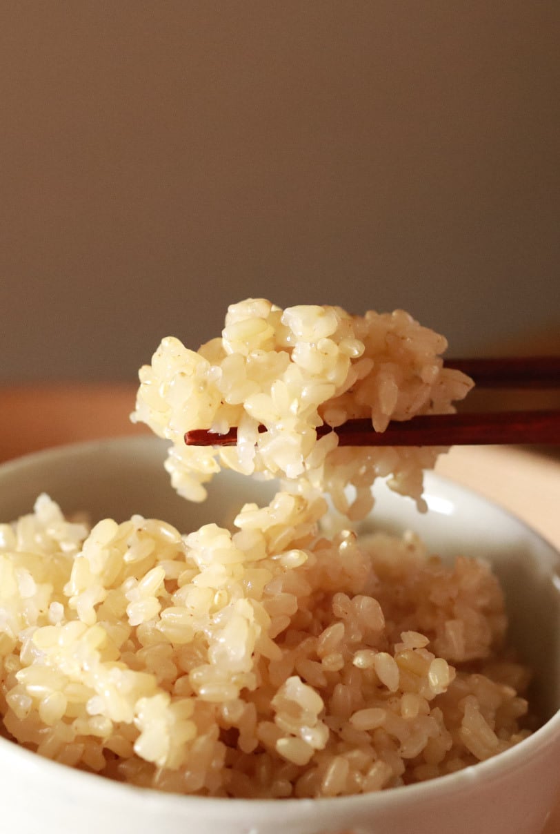 パックごはん】有機玄米100% もちプチ新食感 玄米ごはん 150g×20個